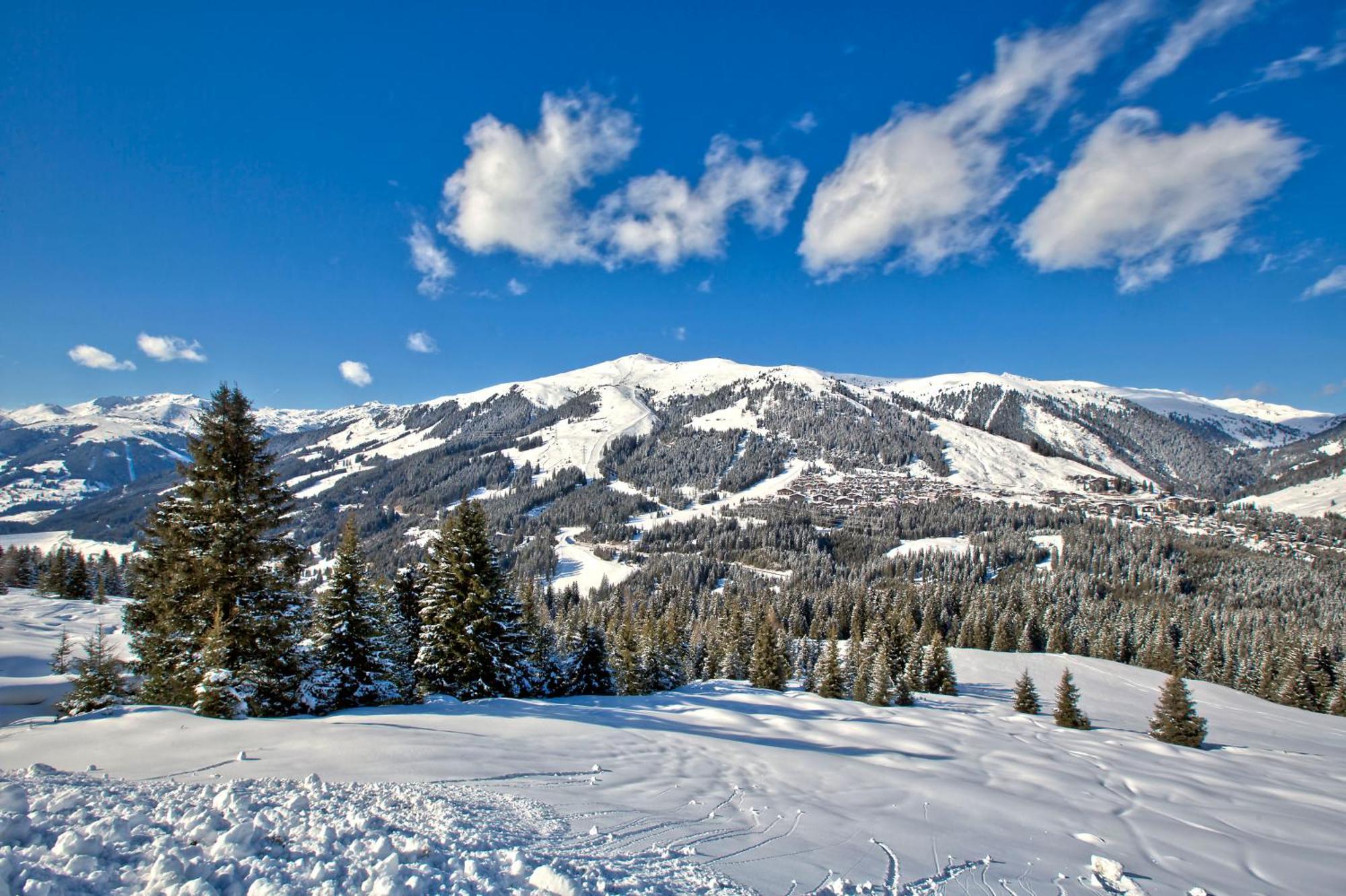 Apartment Bacher Wald im Pinzgau Luaran gambar